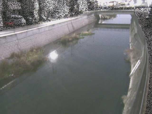 大山橋付近のカメラ画像