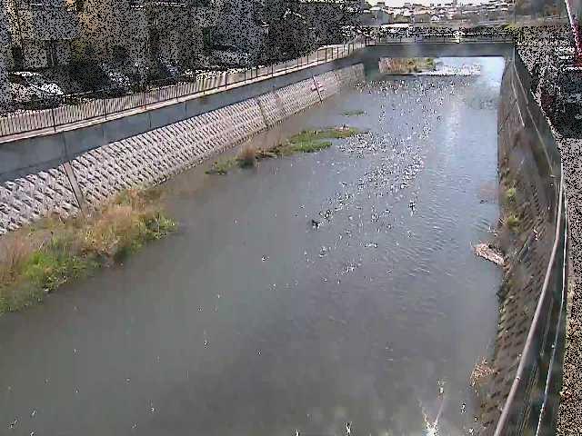 引地川 大山橋付近のカメラ画像