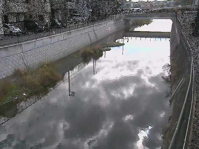 大山橋付近のカメラ画像
