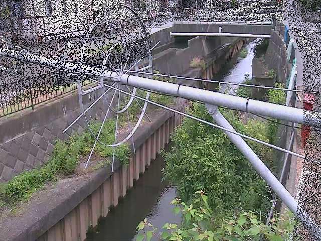 鳩川 平和橋付近のカメラ画像
