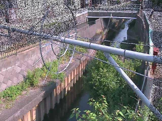 平和橋付近のカメラ画像