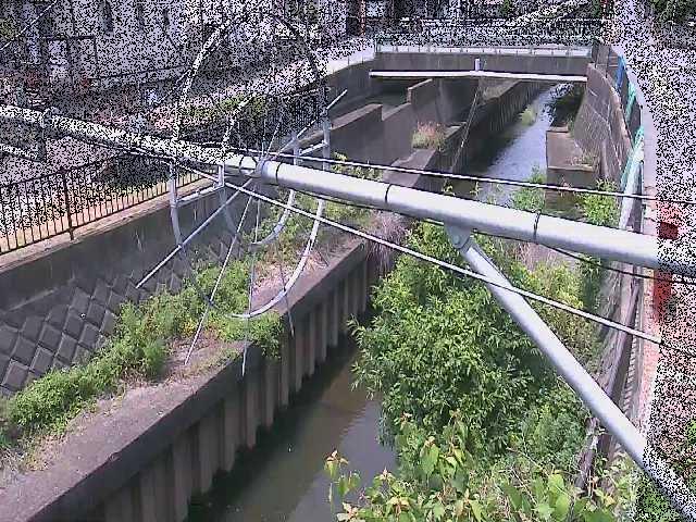 平和橋付近のカメラ画像