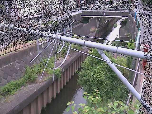 鳩川 平和橋付近のカメラ画像