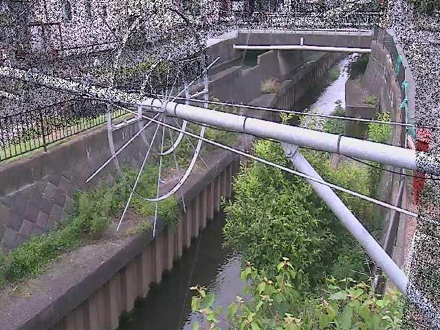 鳩川 平和橋付近のカメラ画像