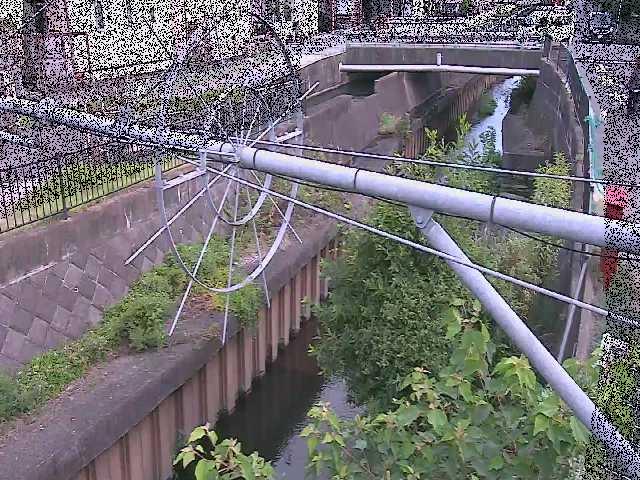 鳩川 平和橋付近のカメラ画像
