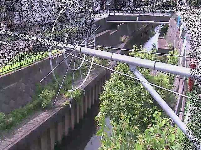 鳩川 平和橋付近のカメラ画像