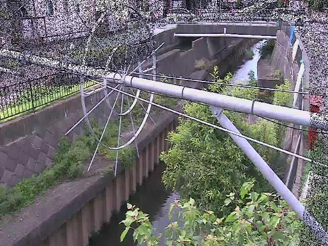 平和橋付近のカメラ画像