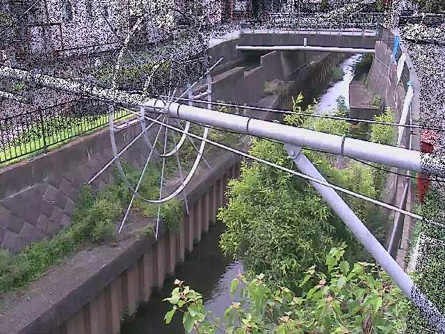 平和橋付近のカメラ画像