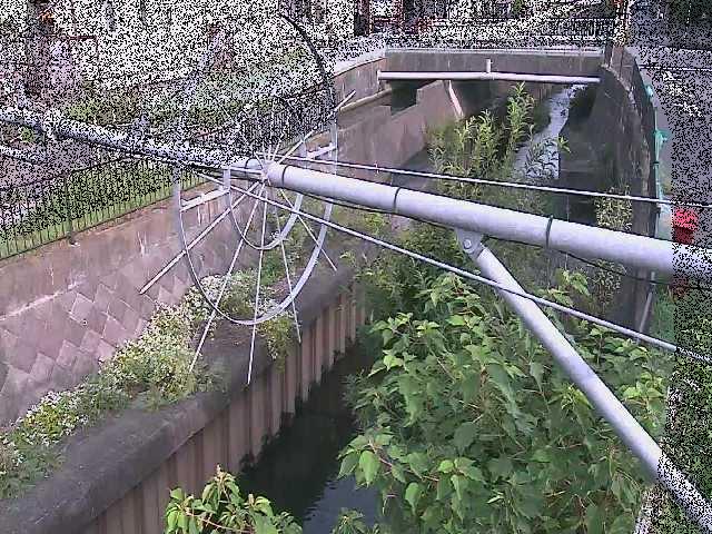 平和橋付近のカメラ画像