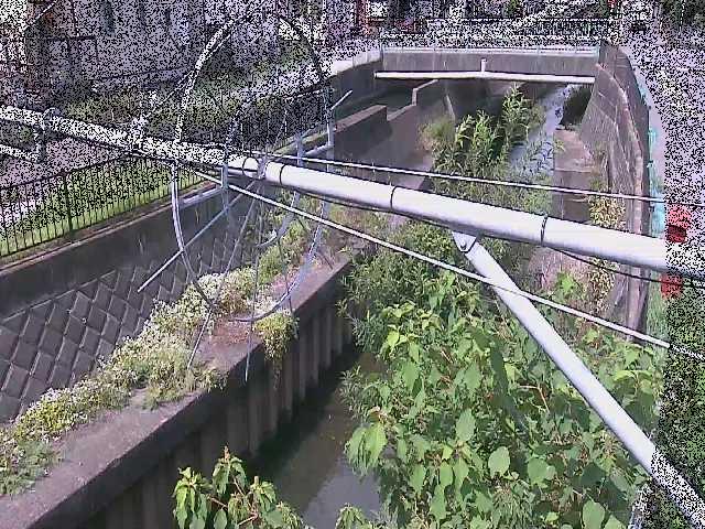 平和橋付近のカメラ画像