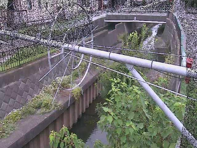 鳩川 平和橋付近のカメラ画像