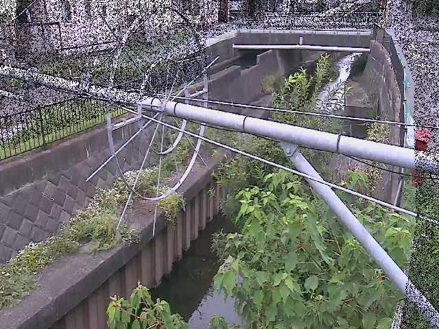 平和橋付近のカメラ画像