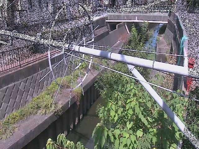 平和橋付近のカメラ画像