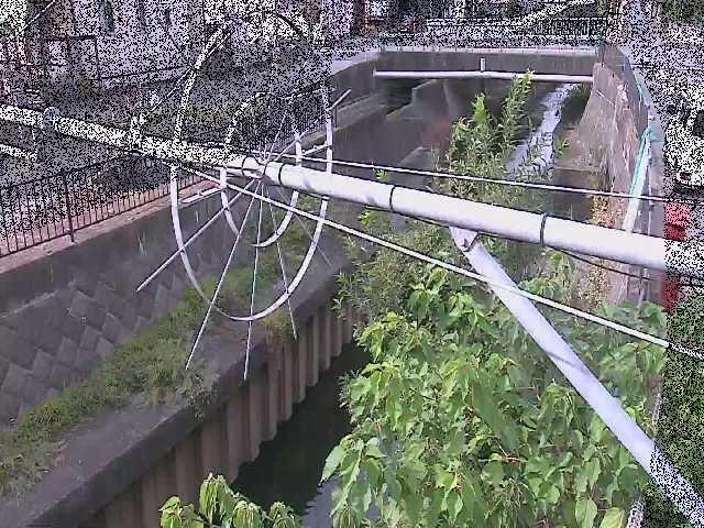 平和橋付近のカメラ画像