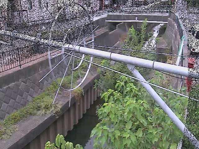 鳩川 平和橋付近のカメラ画像