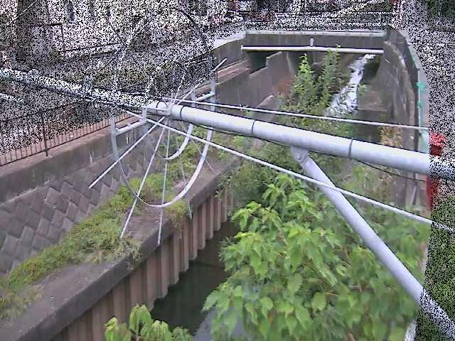 平和橋付近のカメラ画像