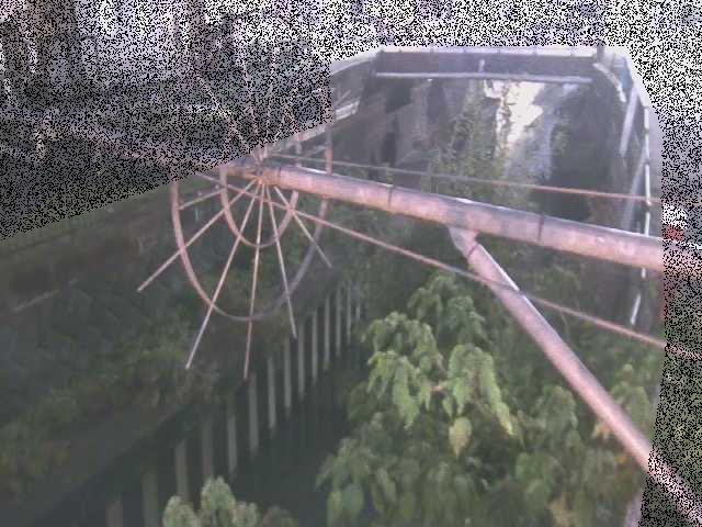 平和橋付近のカメラ画像