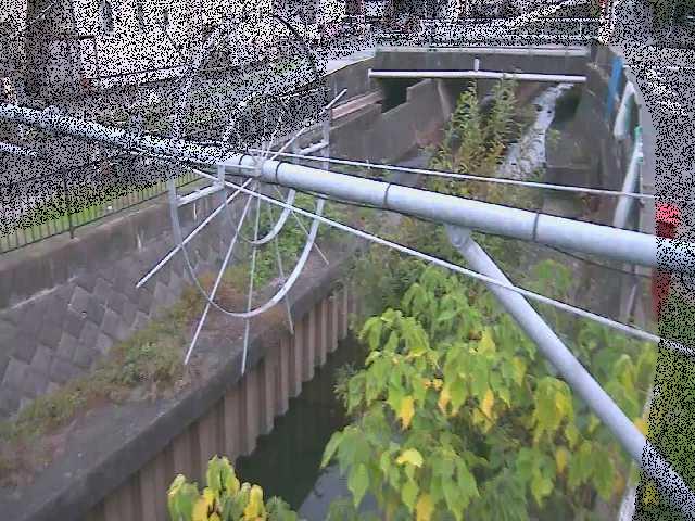 平和橋付近のカメラ画像