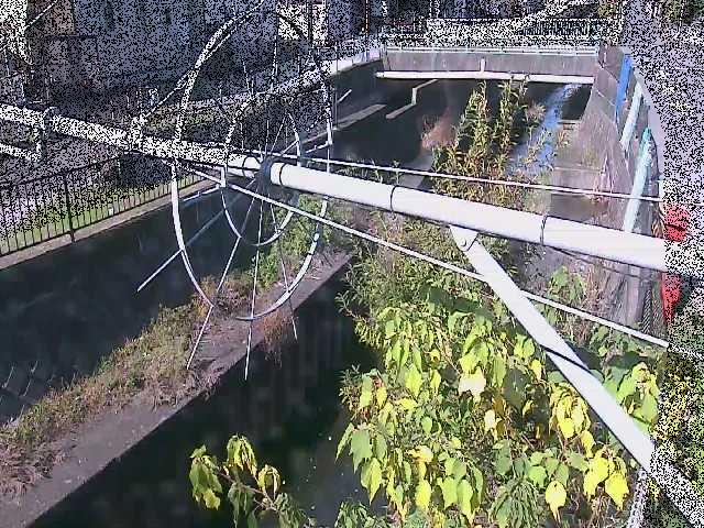 鳩川 平和橋付近のカメラ画像