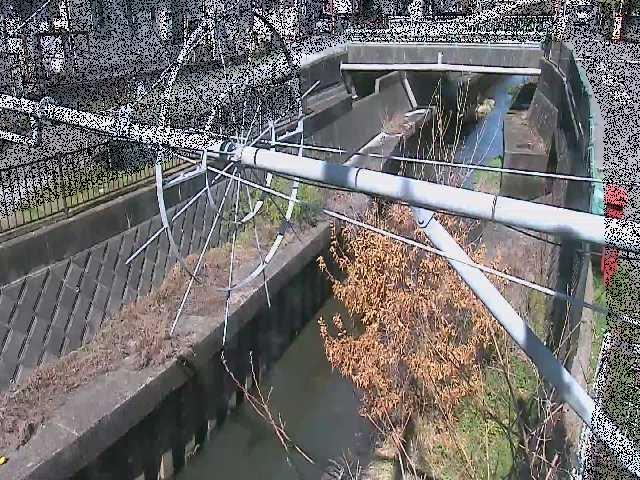 鳩川 平和橋付近のカメラ画像