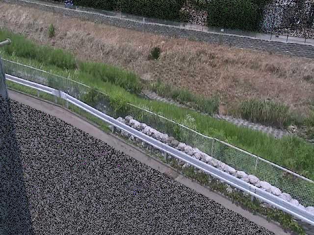 高橋付近のカメラ画像