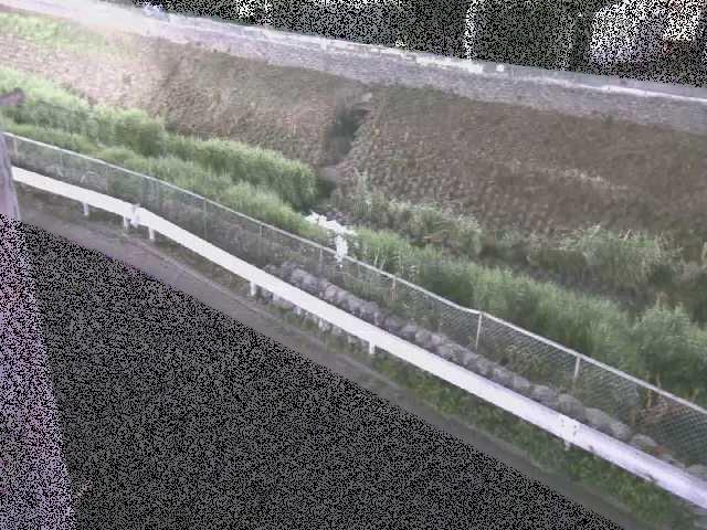 高橋付近のカメラ画像