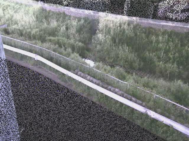 高橋付近のカメラ画像