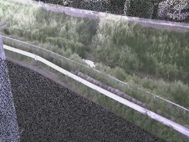 境川 高橋付近のカメラ画像