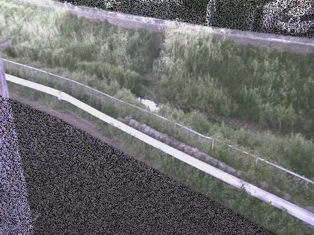 境川 高橋付近のカメラ画像