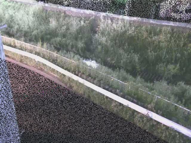 高橋付近のカメラ画像