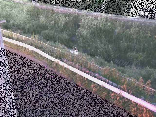 高橋付近のカメラ画像