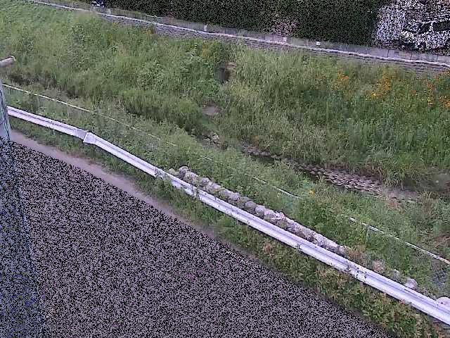 境川 高橋付近のカメラ画像