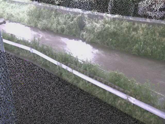 境川 高橋付近のカメラ画像