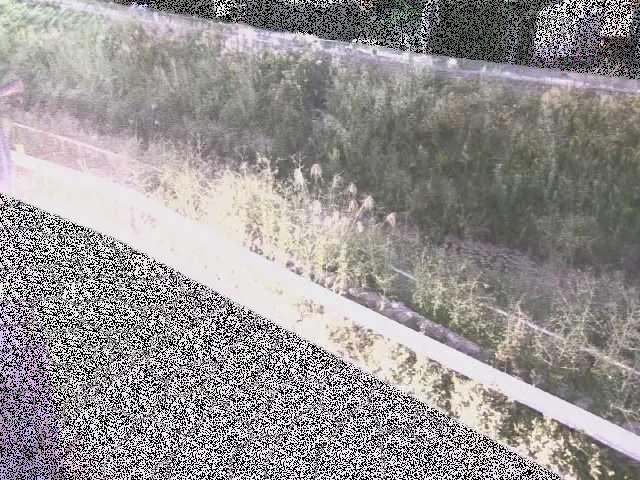 高橋付近のカメラ画像