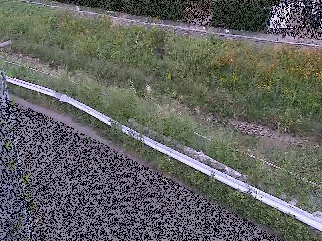 高橋付近のカメラ画像