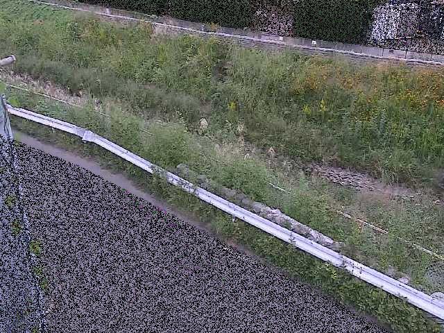 境川 高橋付近のカメラ画像