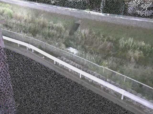 高橋付近のカメラ画像