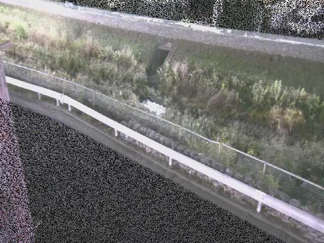 境川 高橋付近のカメラ画像