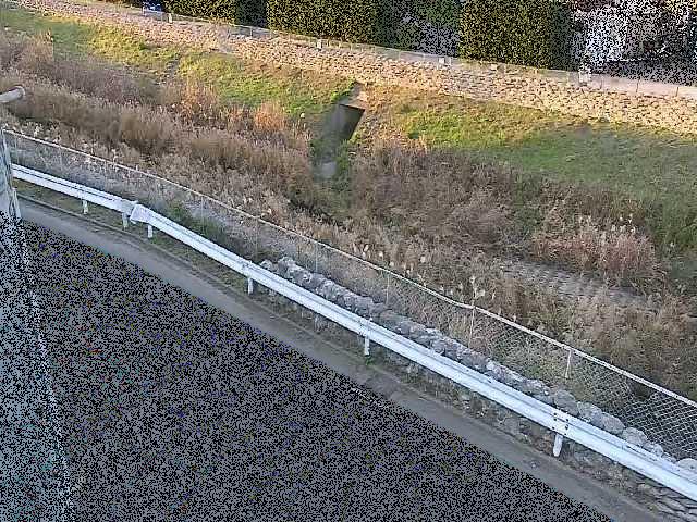境川 高橋付近のカメラ画像