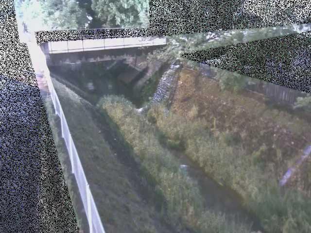 境川 寿橋付近のカメラ画像