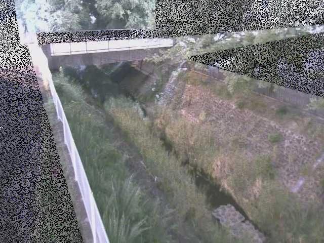 境川 寿橋付近のカメラ画像
