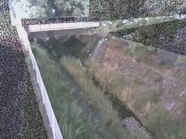 境川 寿橋付近のカメラ画像