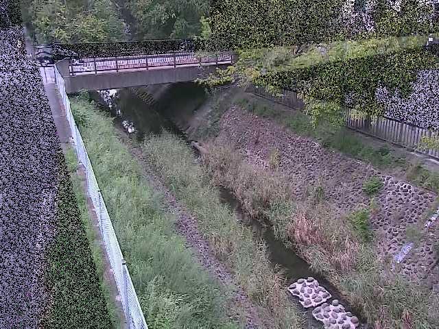 境川 寿橋付近のカメラ画像