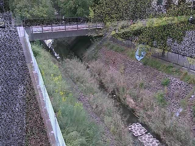 境川 寿橋付近のカメラ画像