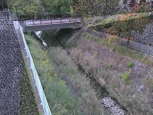 境川 寿橋付近のカメラ画像