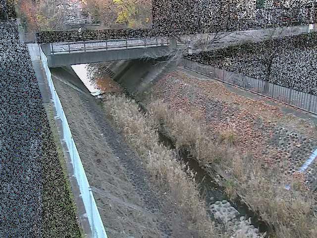 境川 寿橋付近のカメラ画像