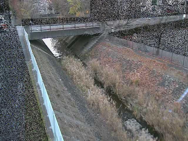 境川 寿橋付近のカメラ画像