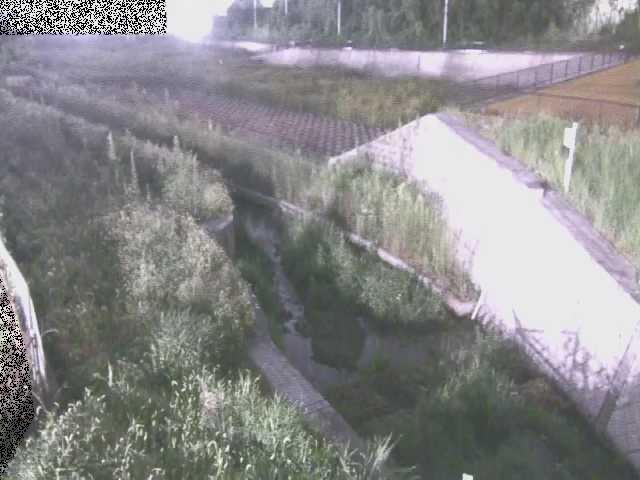 境川 風戸橋付近のカメラ画像