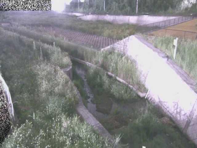 境川 風戸橋付近のカメラ画像