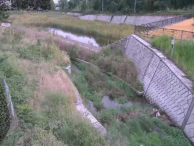 境川 風戸橋付近のカメラ画像